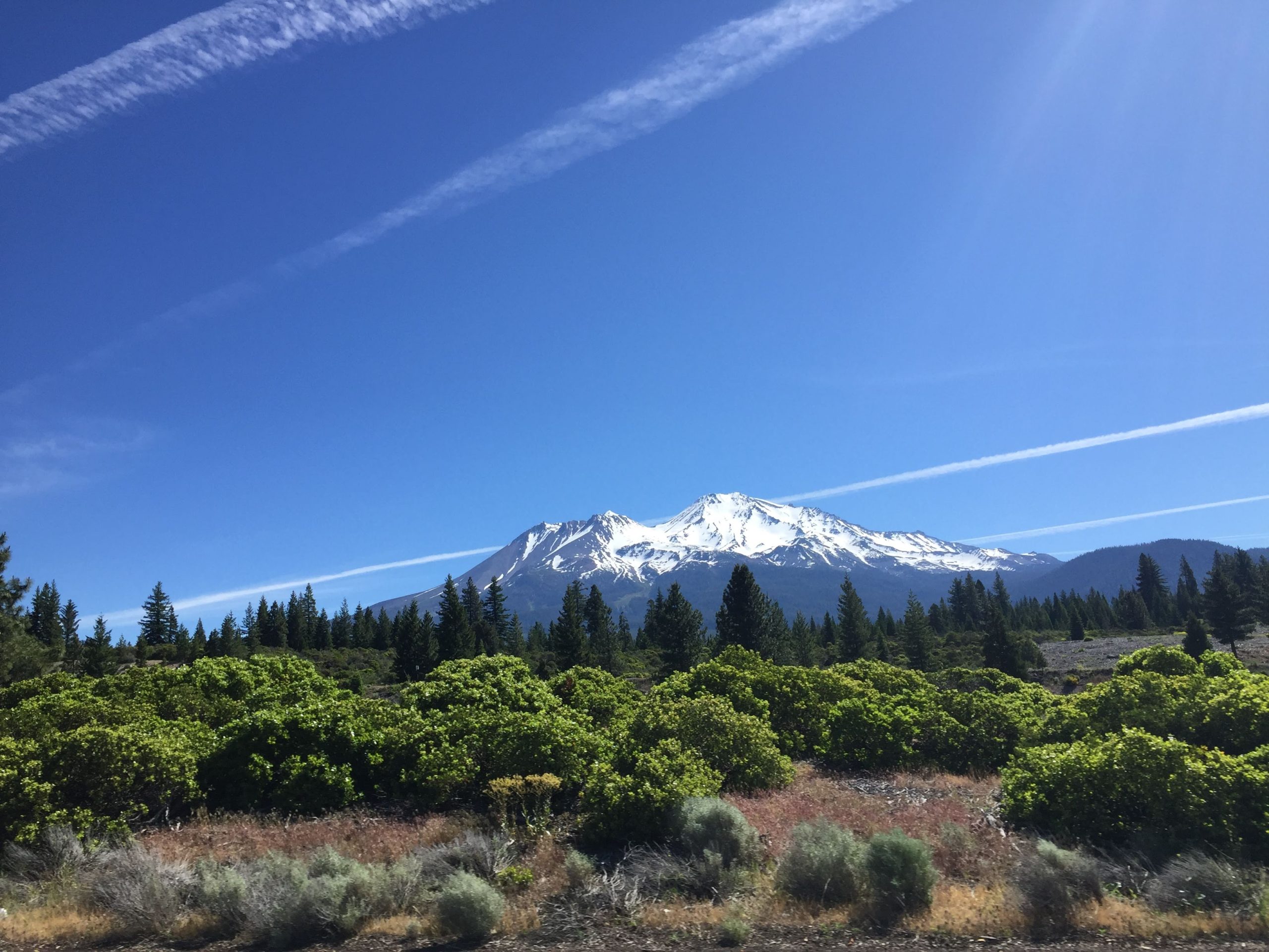 Mt Shasta